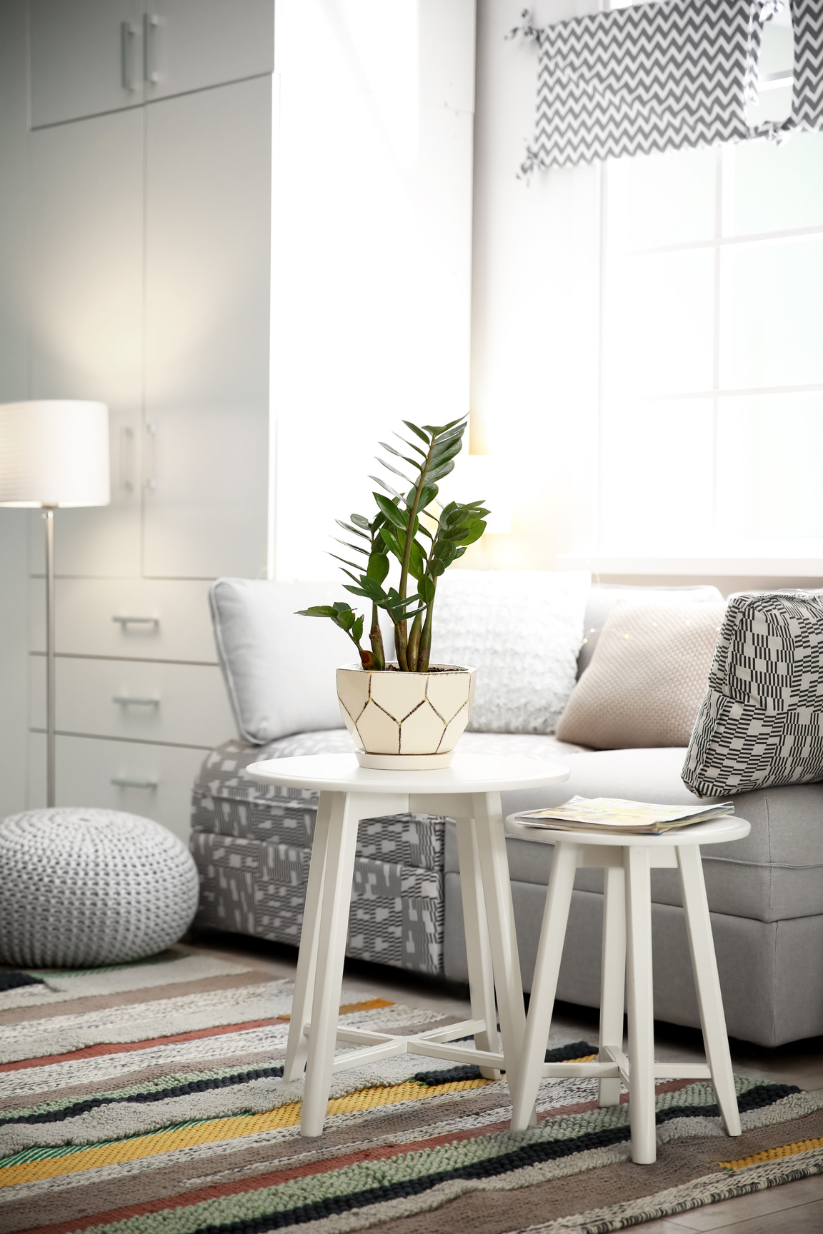 Stylish Living Room Interior with Comfortable Sofa